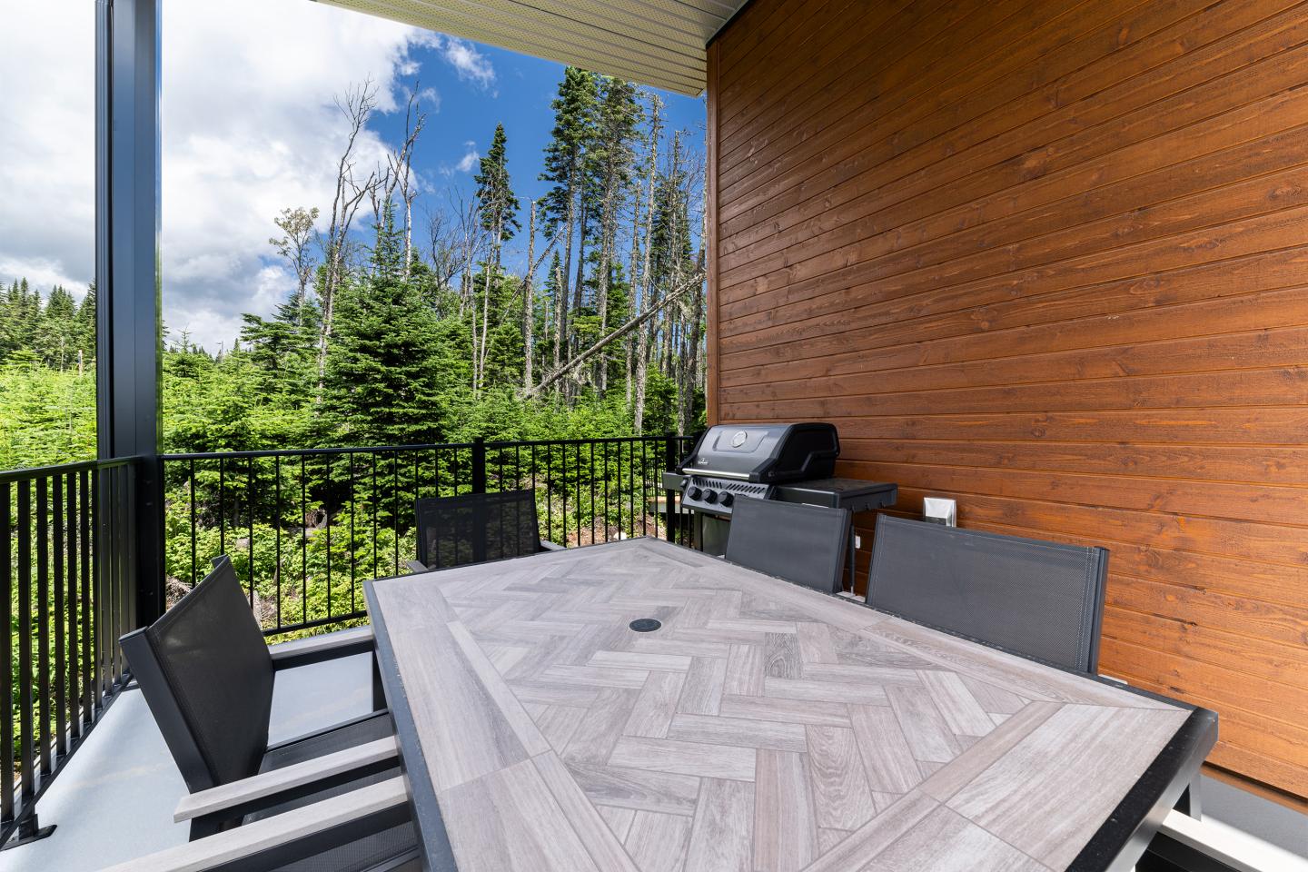 Terrasse avec table en bois, barbecue, vue sur une forêt, ciel bleu.