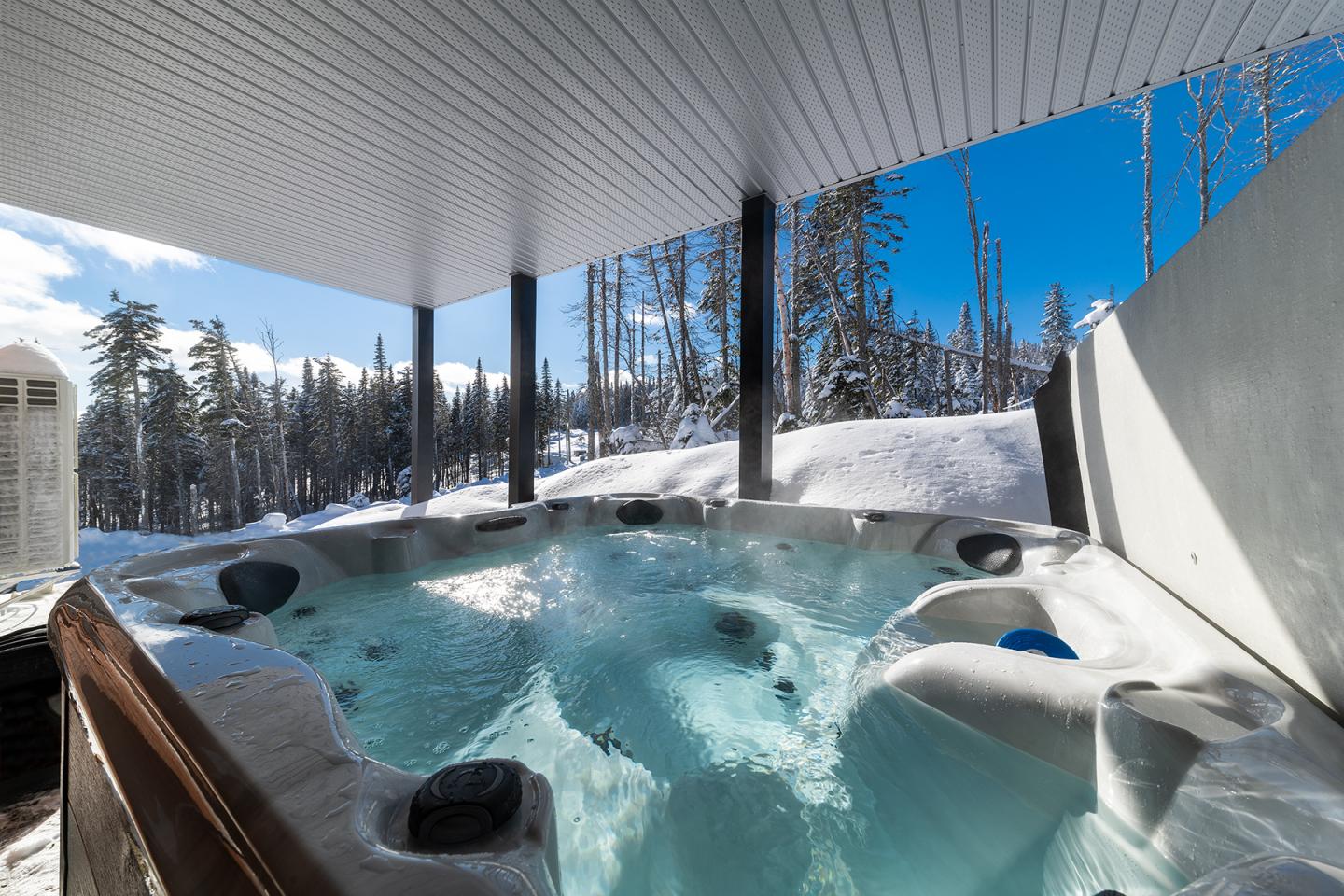 Spa extérieur sous un abri, entouré de neige et arbres, ciel bleu.