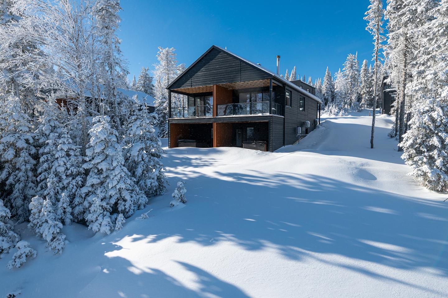 Chalet moderne entouré de neige et de sapins sous un ciel bleu.