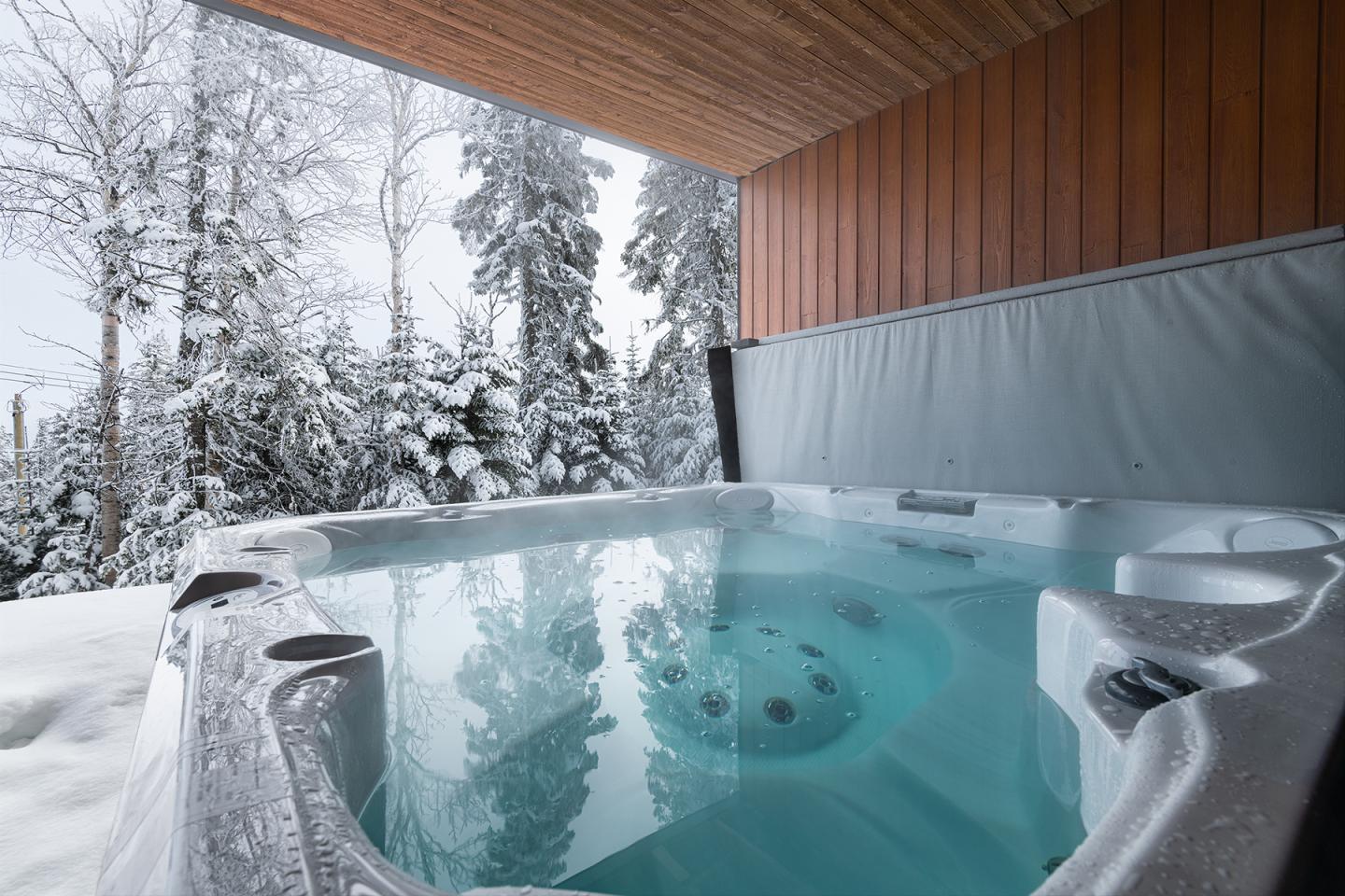 Jacuzzi en extérieur couvert, entouré d'arbres enneigés.