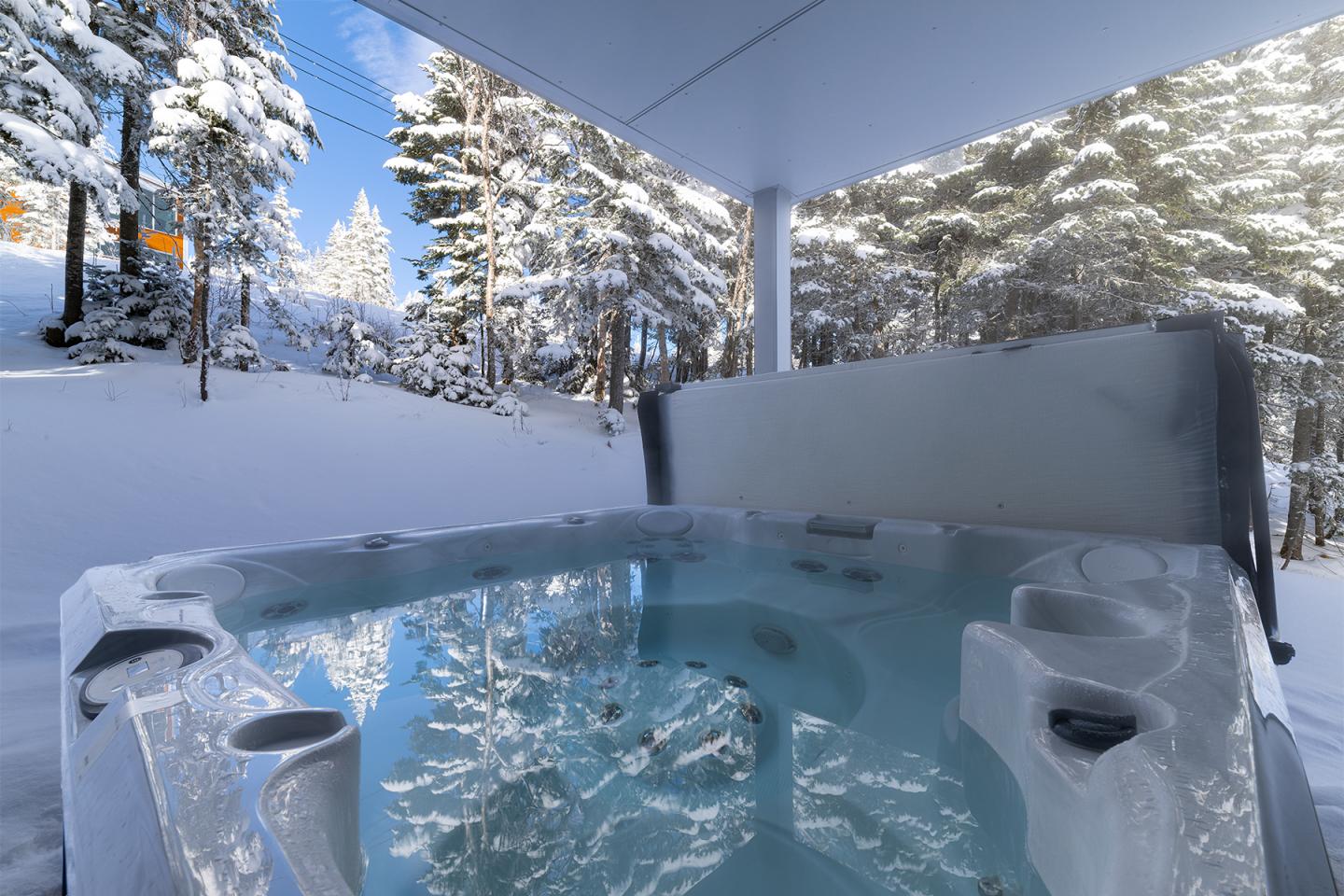 Jacuzzi extérieur sous abri, entouré de neige et de sapins.