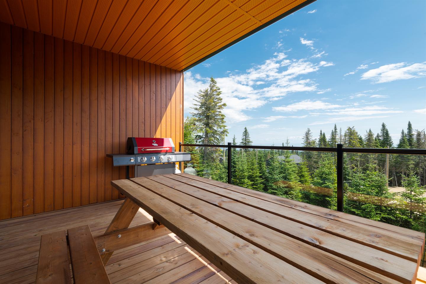 Terrasse en bois avec table, barbecue rouge et vue sur forêt sous ciel bleu.