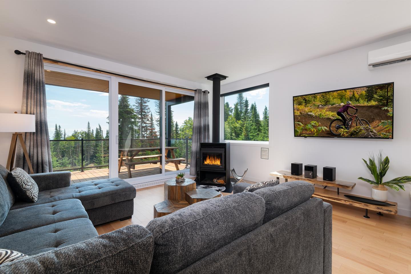 Salon moderne avec canapé gris, poêle à bois et vue sur forêt par la fenêtre.