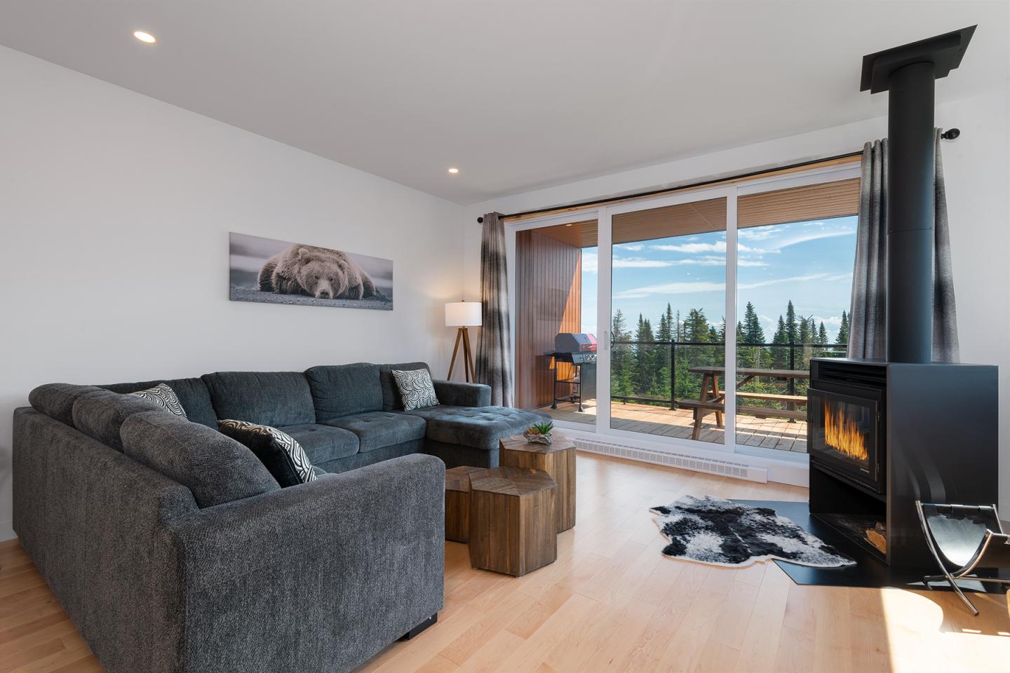 Salon moderne avec canapé gris, poêle à bois, baie vitrée avec vue sur forêt.