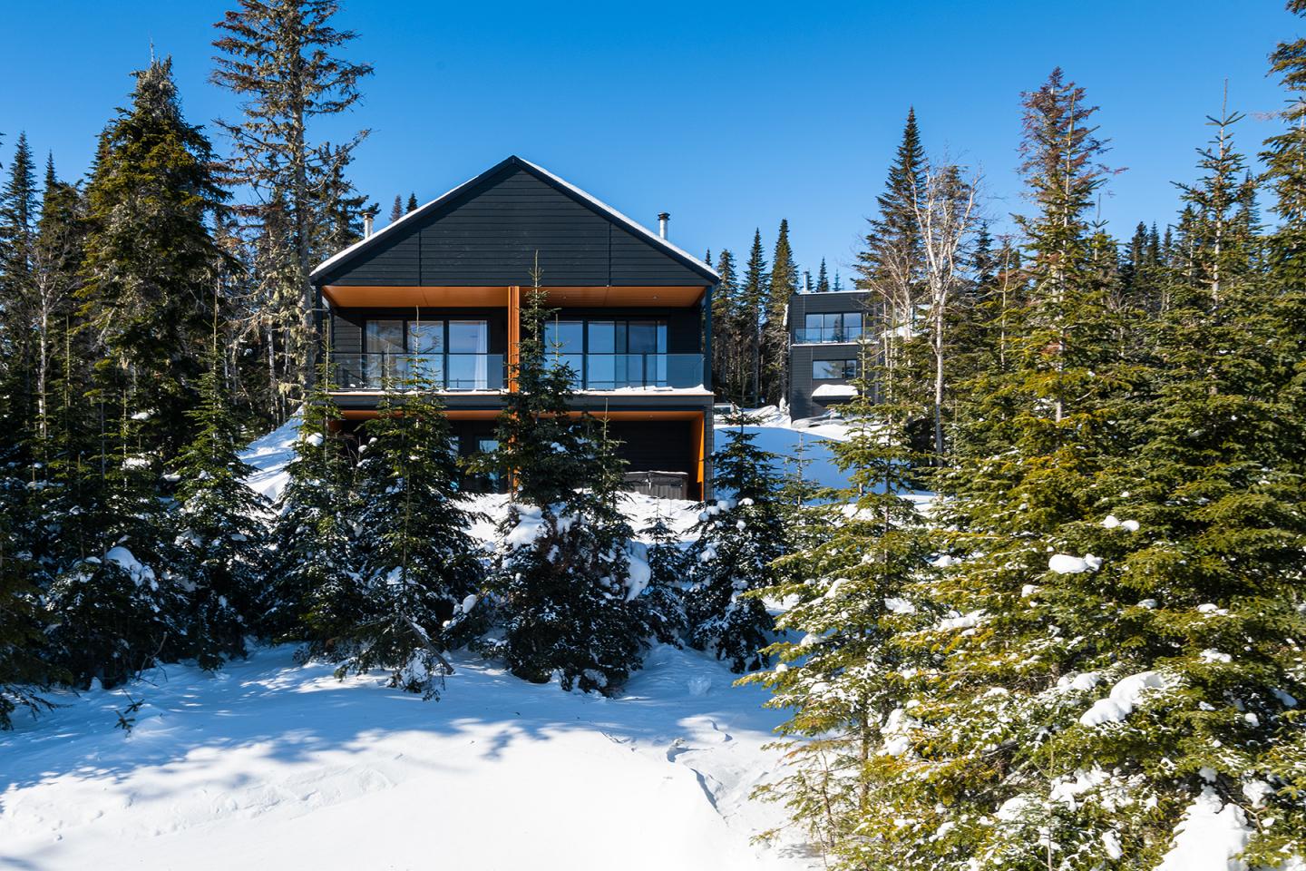 Chalet moderne entouré de sapins enneigés sous ciel bleu.