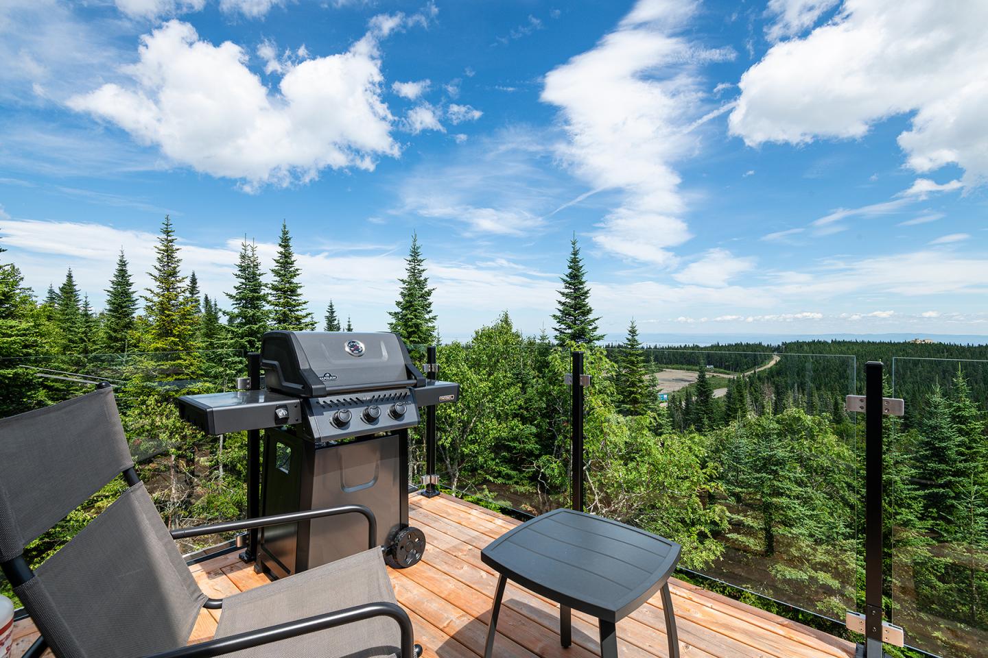 Terrasse avec barbecue, chaises, et vue sur forêt sous un ciel bleu avec nuages.