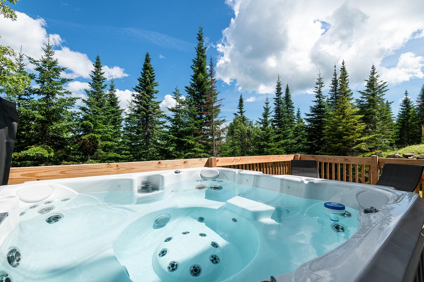 Spa extérieur avec vue sur une forêt de conifères sous un ciel nuageux.