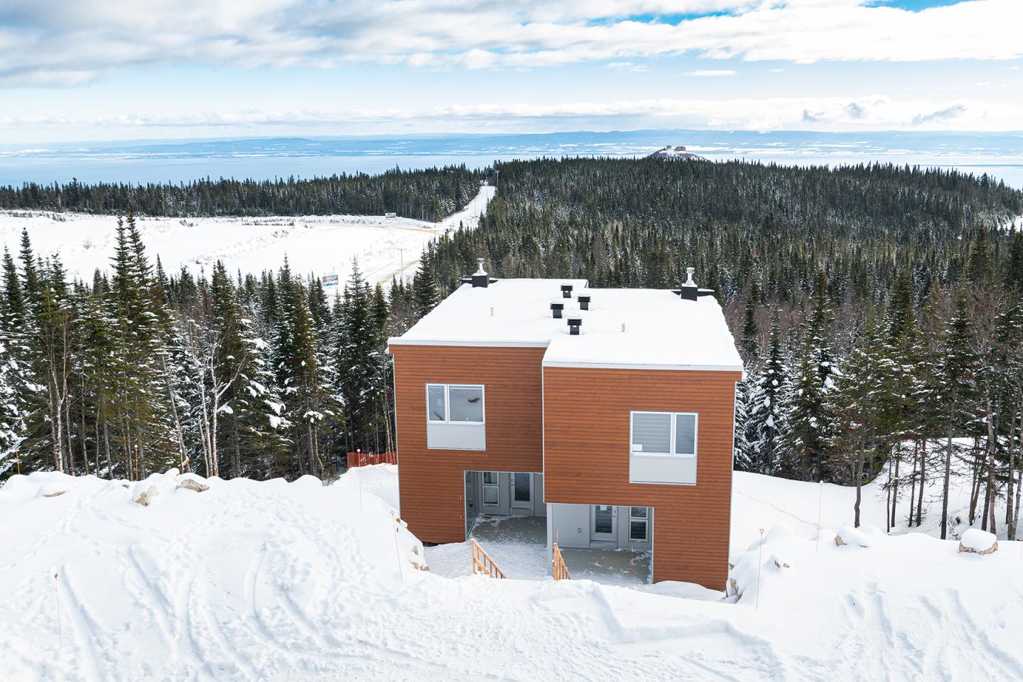 Deux maisons modernes en bois, entourées de neige, forêt à l'arrière-plan.
