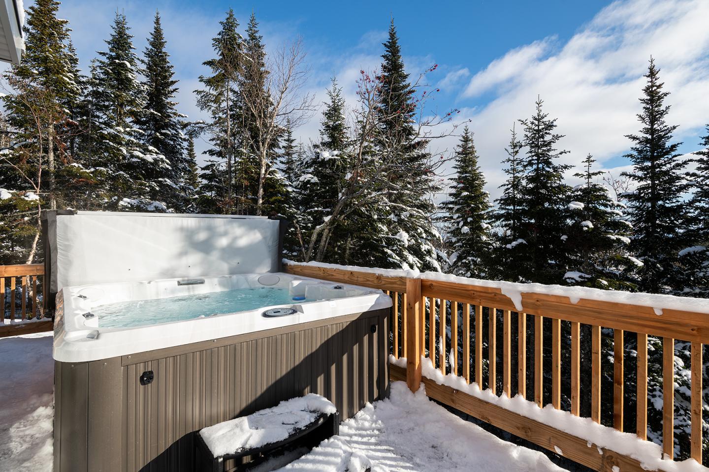 Spa extérieur enneigé avec vue sur forêt de sapins.