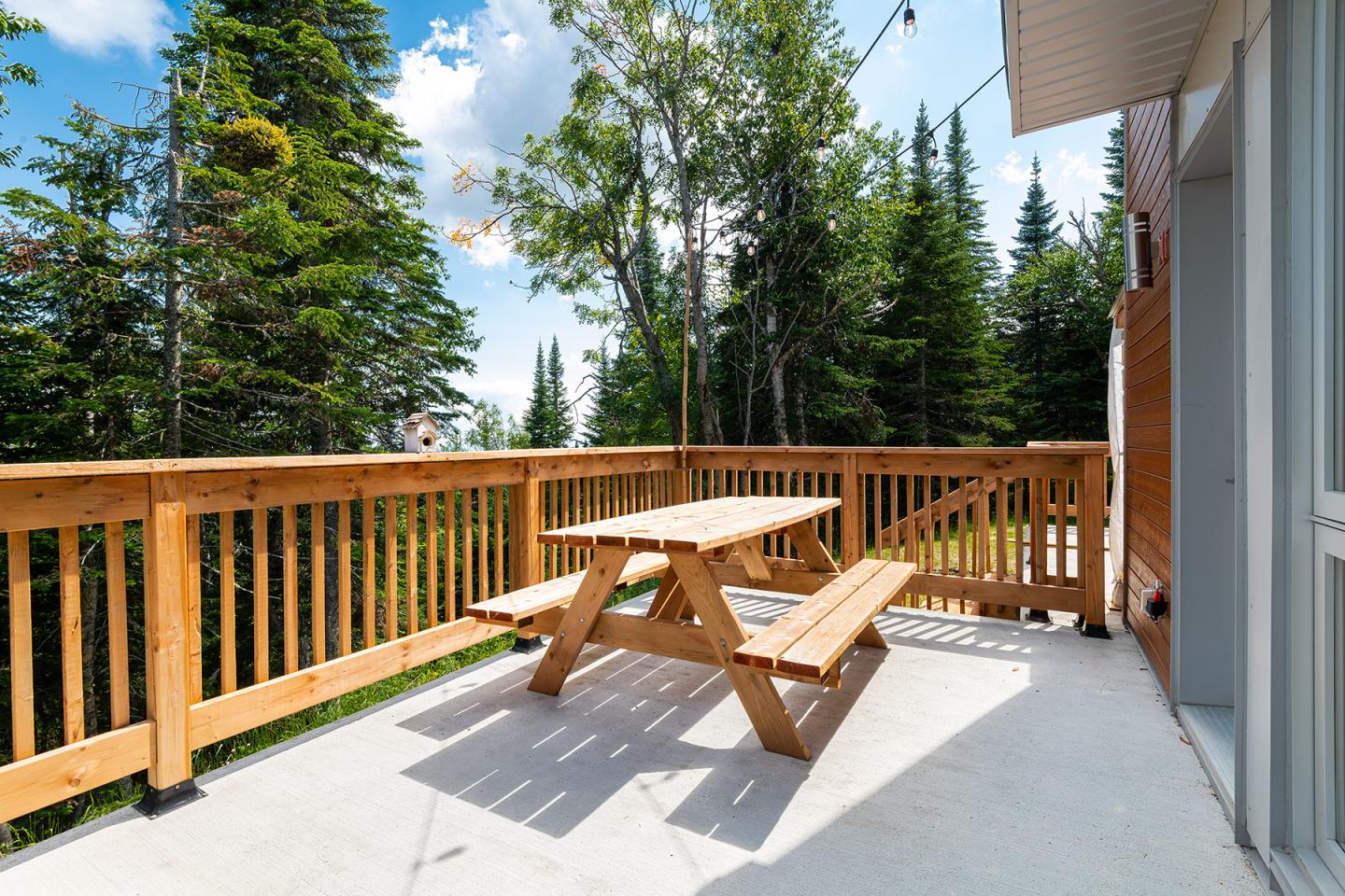 Table en bois sur terrasse ensoleillée entourée de sapins.