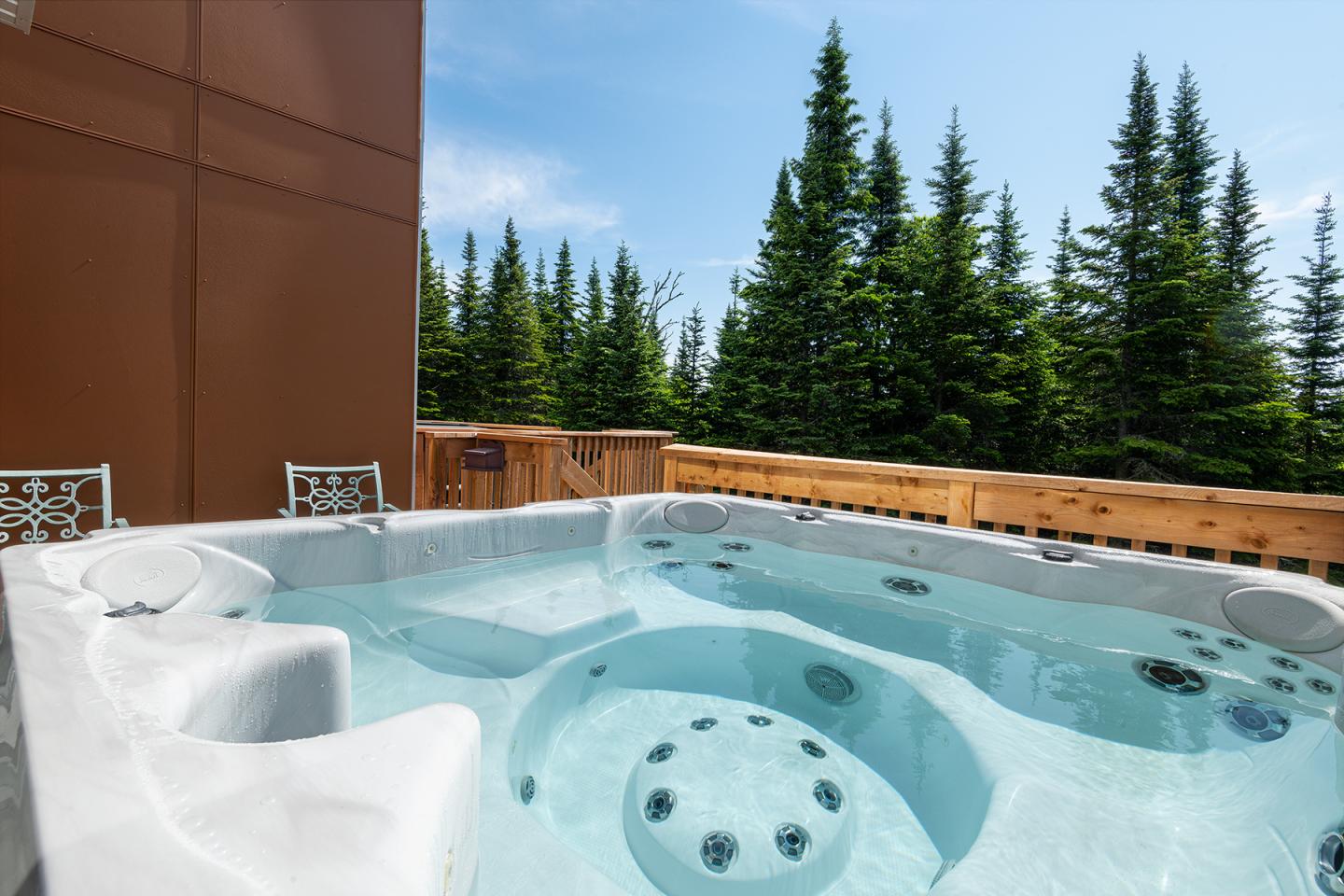 Jacuzzi extérieur avec forêt de sapins en arrière-plan.