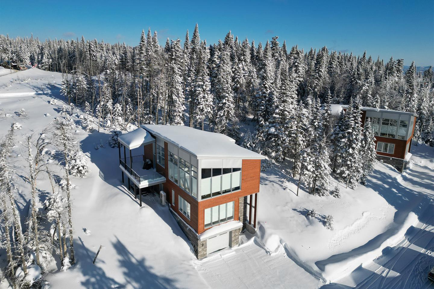 Chalets modernes entourés de neige et de forêts sous un ciel bleu.