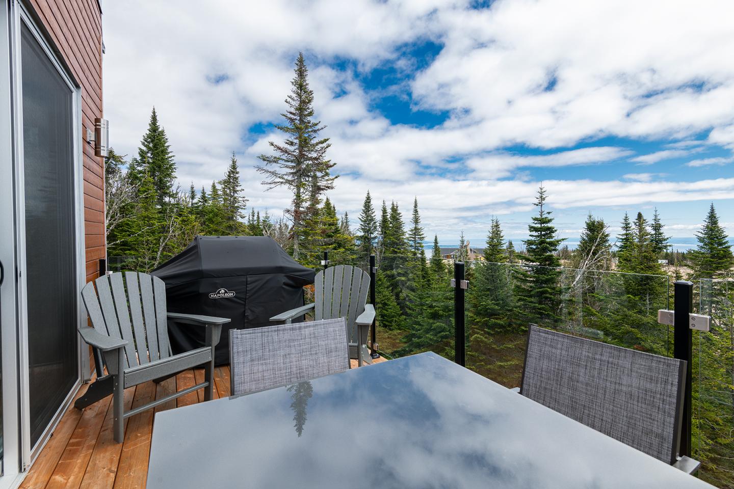 Terrasse extérieure avec table, chaises, barbecue et vue sur forêt verdoyante sous ciel bleu.