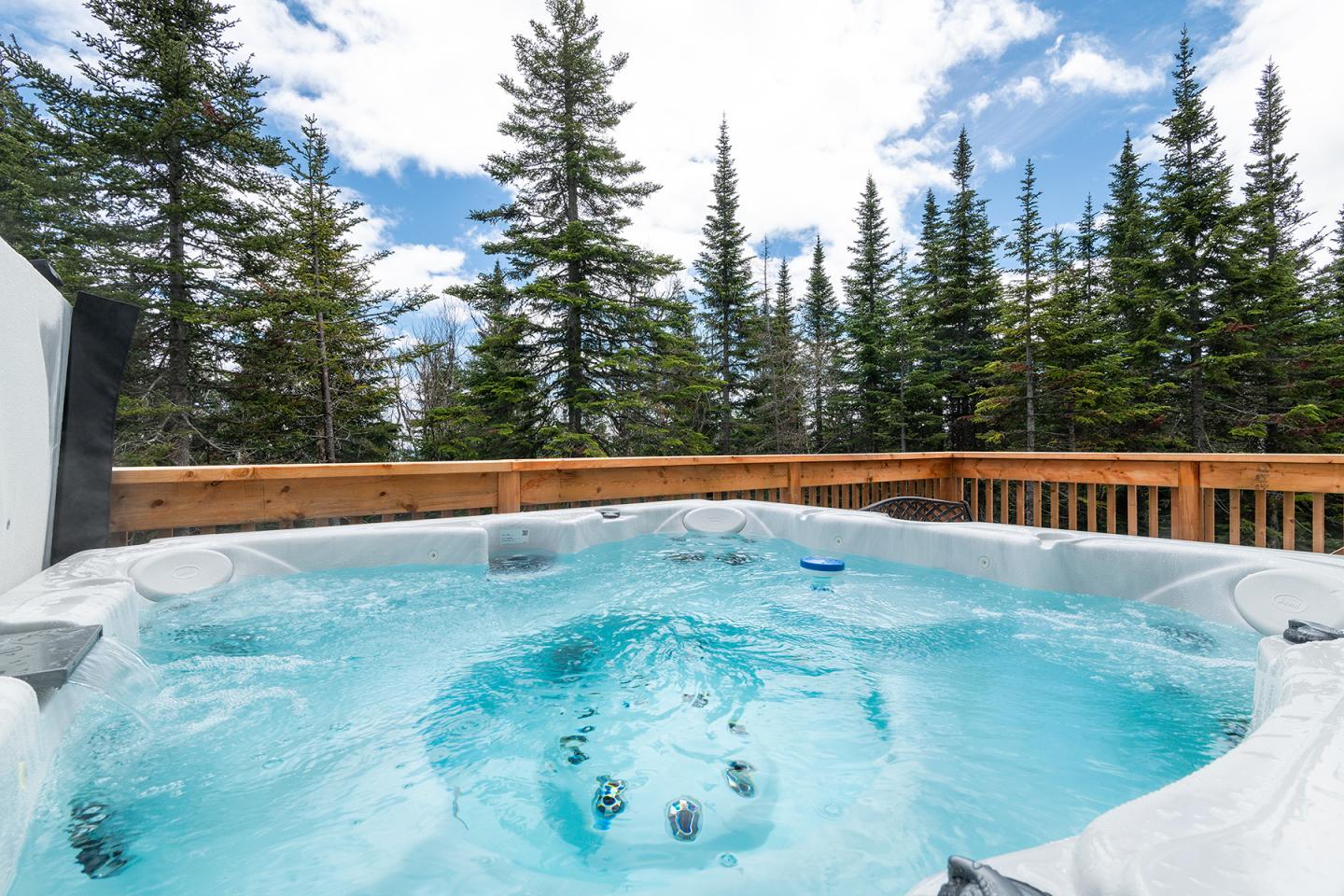 Jacuzzi extérieur entouré de sapins sous un ciel bleu.