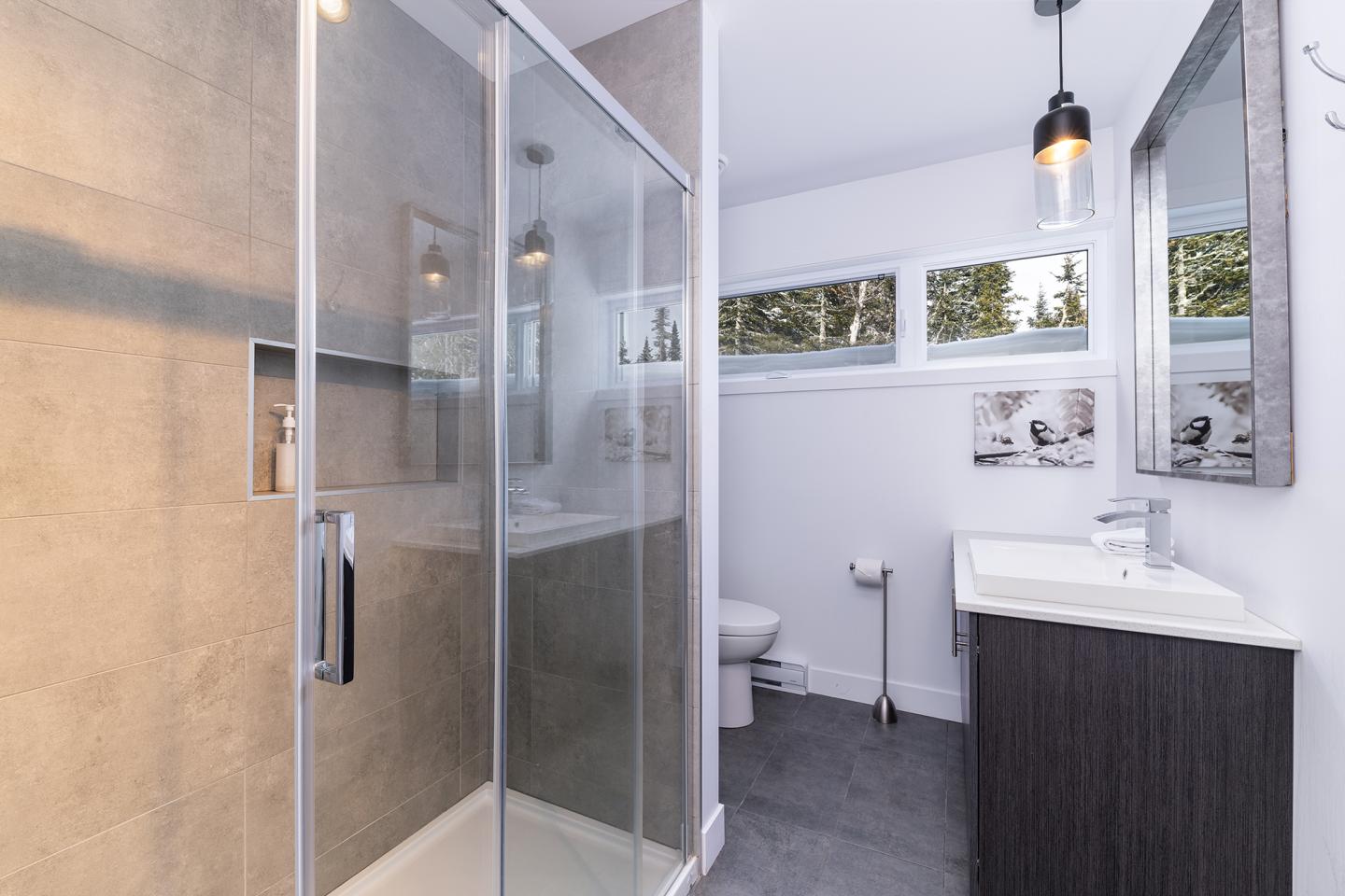 Salle de bain moderne, douche vitrée, lavabo sombre, murs blancs.