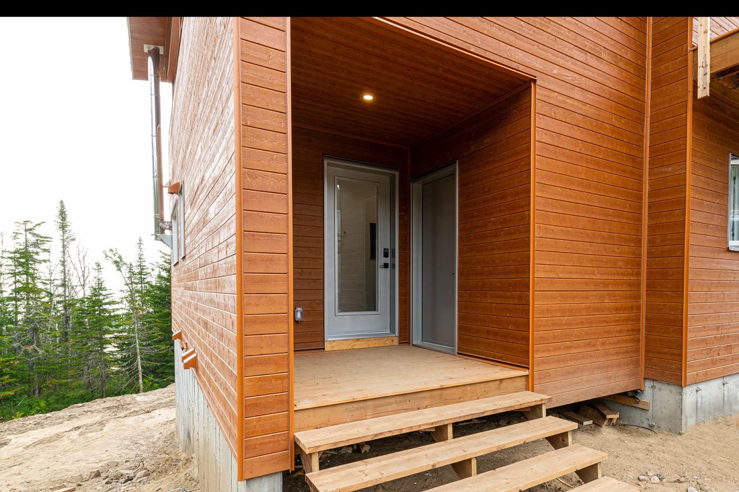 Entrée d'une maison en bois avec marches, sous un porche éclairé, forêt en arrière-plan.