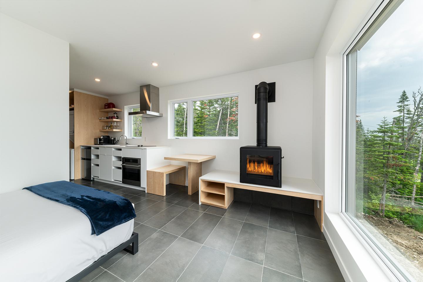 Pièce moderne avec poêle à bois, cuisine compacte, et vue sur la forêt.