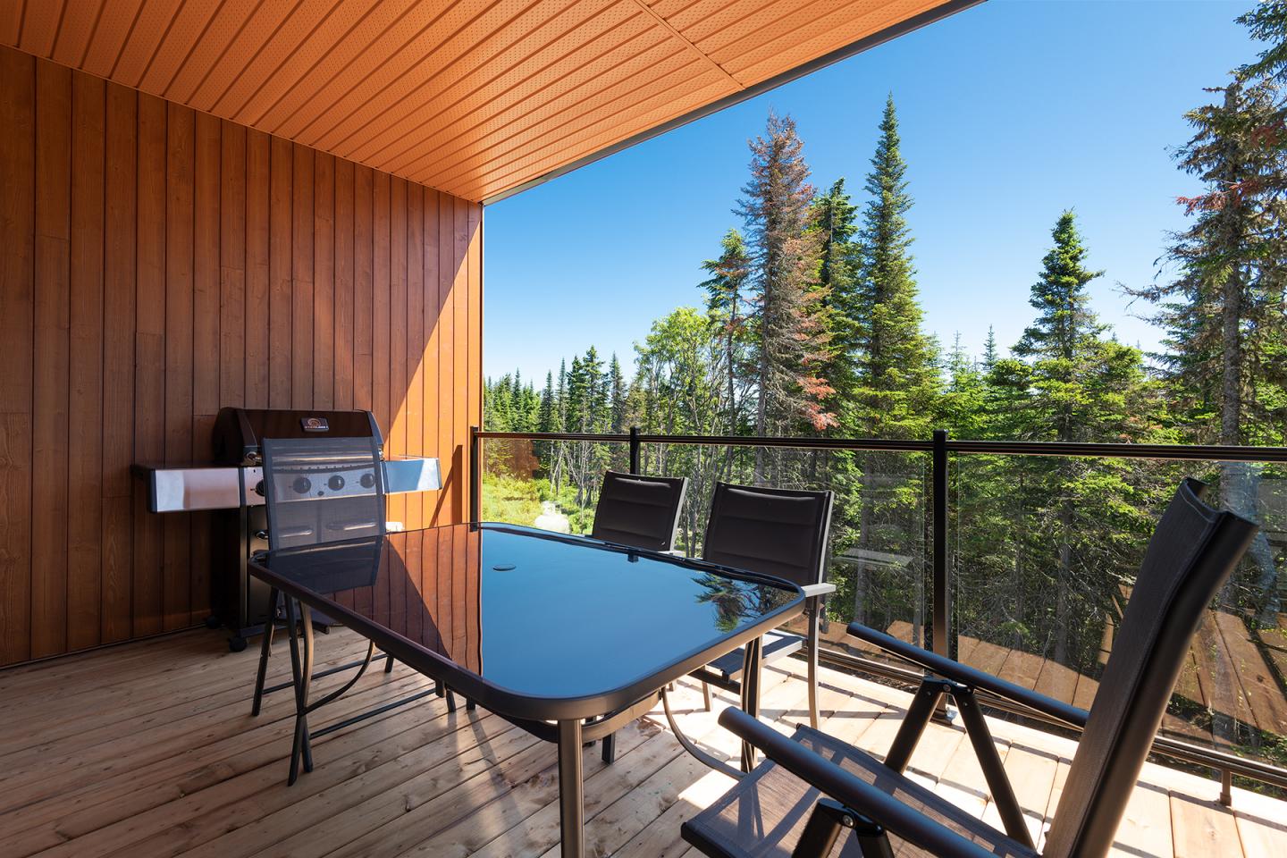 Terrasse en bois avec table, chaises et barbecue, vue sur forêt de conifères.