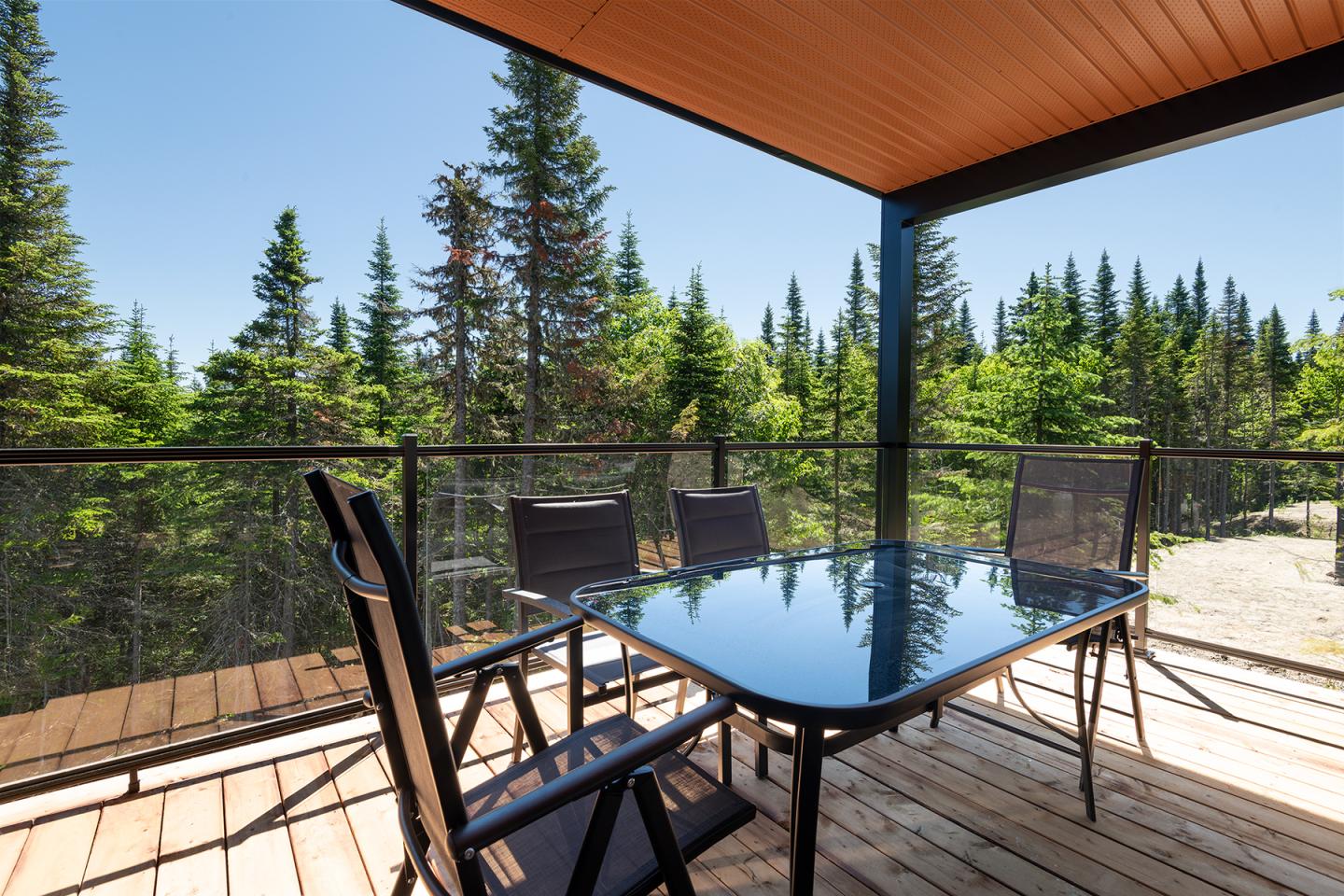 Terrasse avec chaises et table en verre, vue sur forêt verdoyante.