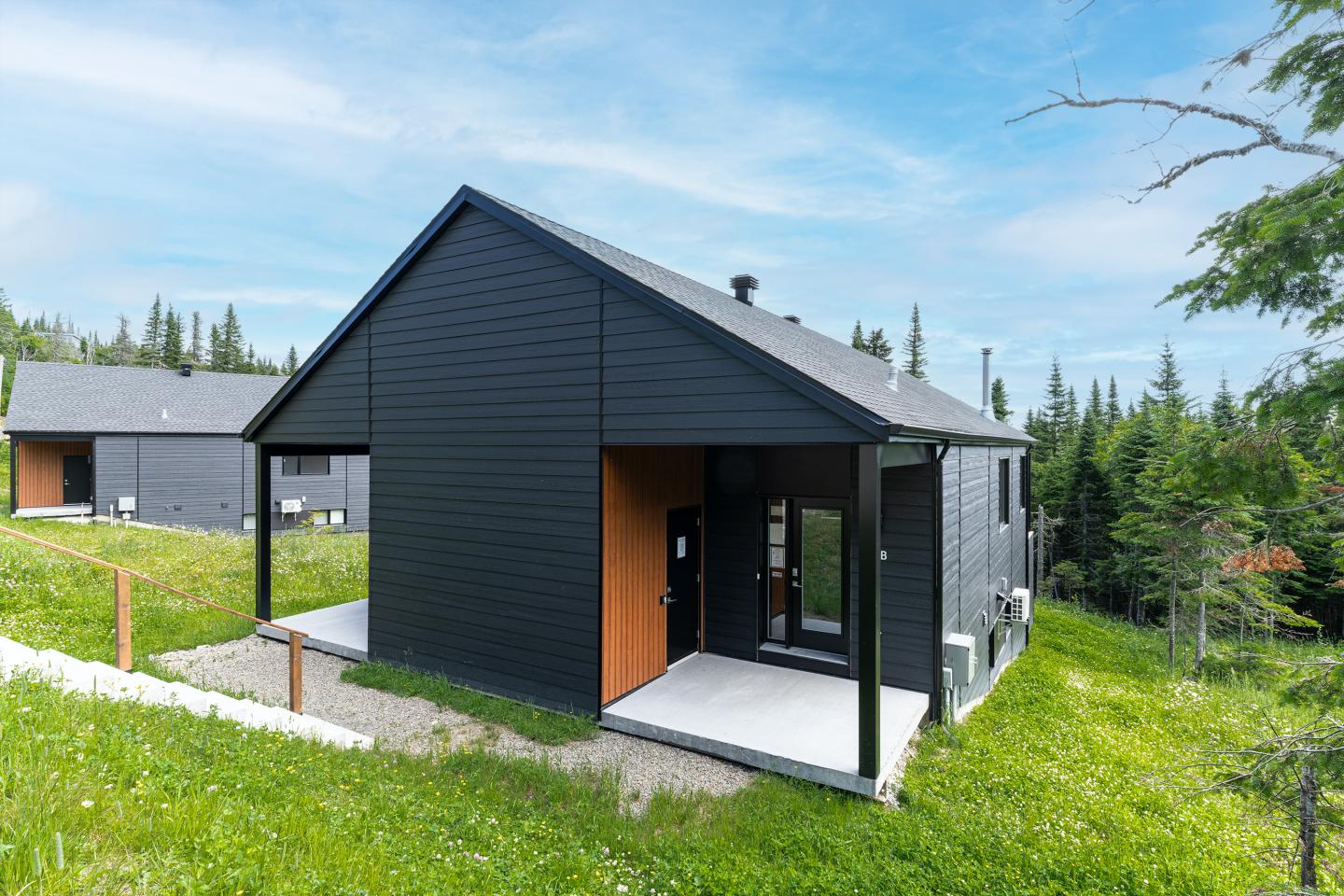 Maison moderne noire dans un cadre verdoyant et boisé.