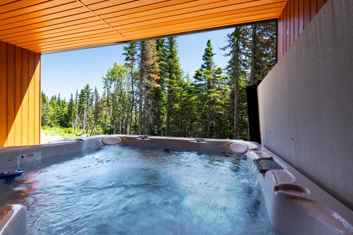Jacuzzi extérieur sous abri, vue sur forêt verdoyante.