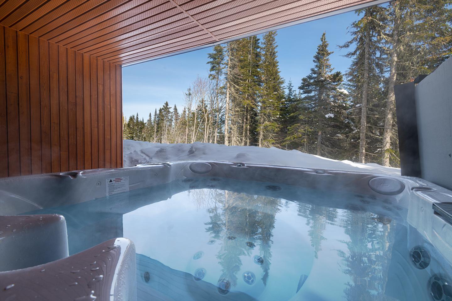 Jacuzzi fumant sous abri en bois, forêt de sapins en arrière-plan.