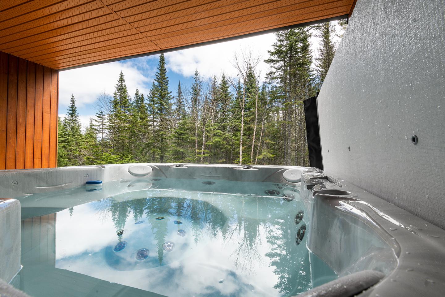 Jacuzzi extérieur avec vue sur forêt de conifères et ciel bleu partiellement nuageux.