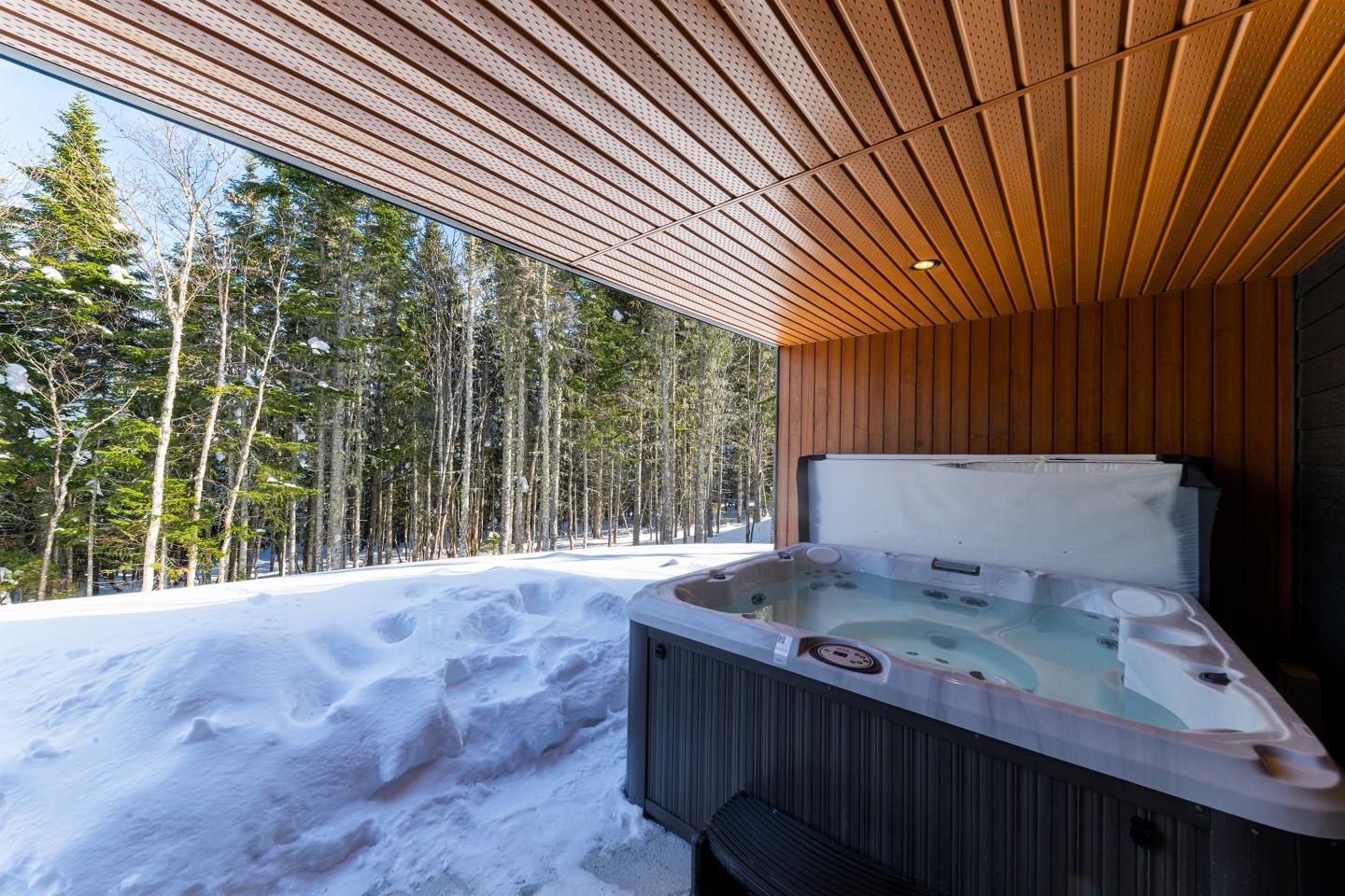 Spa extérieur sous un abri en bois, entouré de neige et de forêt.