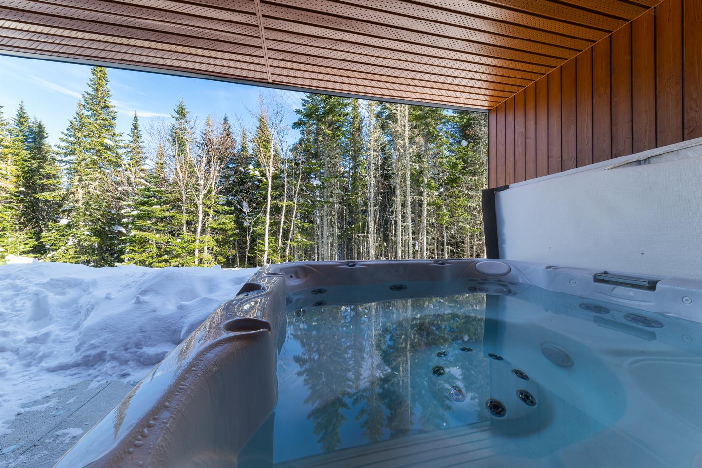 Spa extérieur sous abri, entouré de neige et arbres.