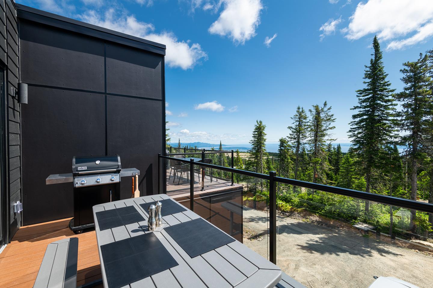 Terrasse ensoleillée avec barbecue, forêt et montagnes en arrière-plan.