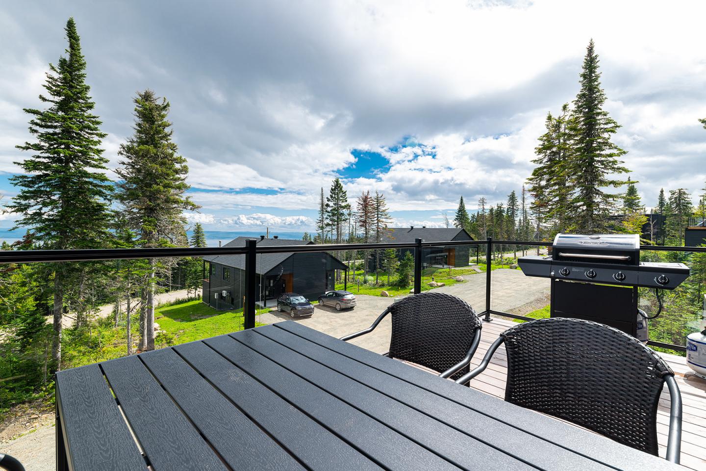 Terrasse avec table, barbecue et vue sur des sapins et le ciel nuageux.