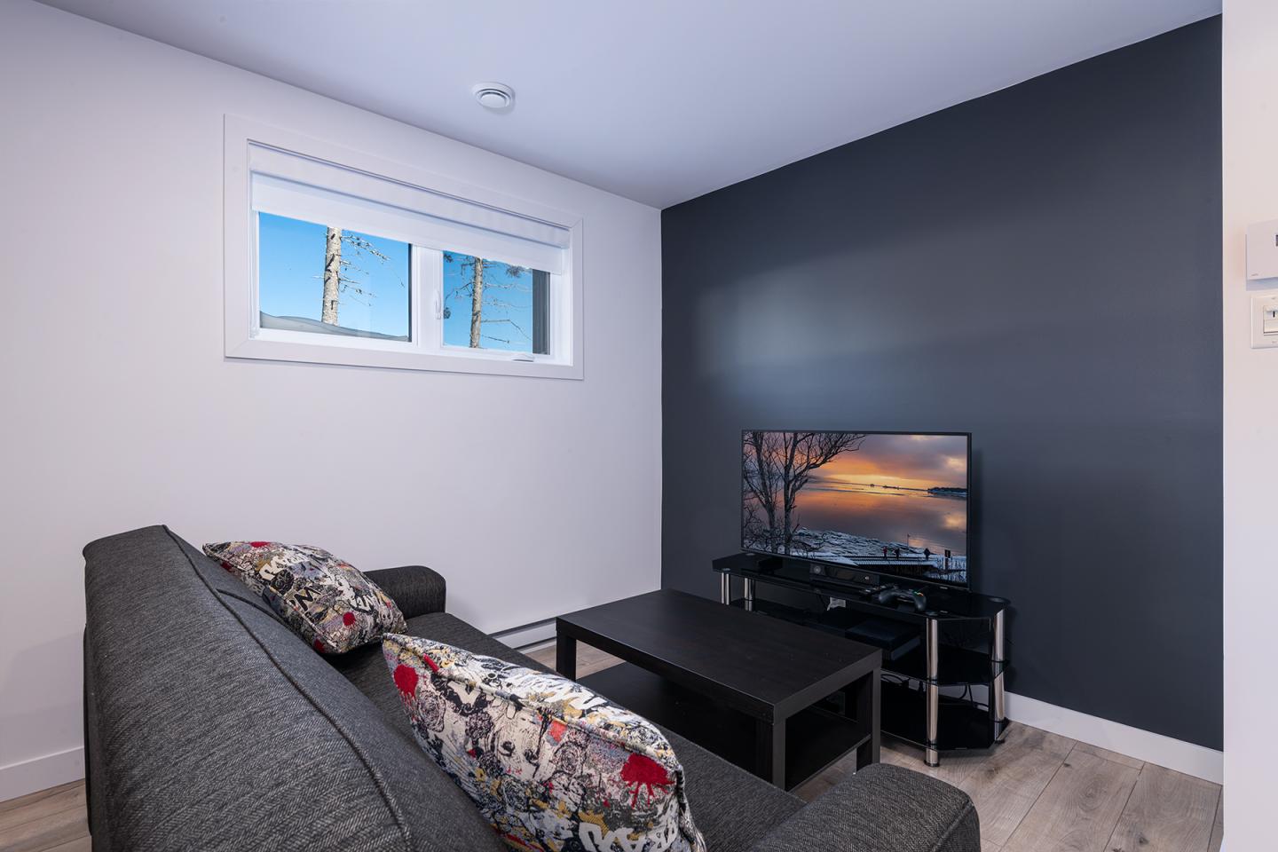 Salon moderne avec canapé gris, télévision, mur sombre et fenêtre.