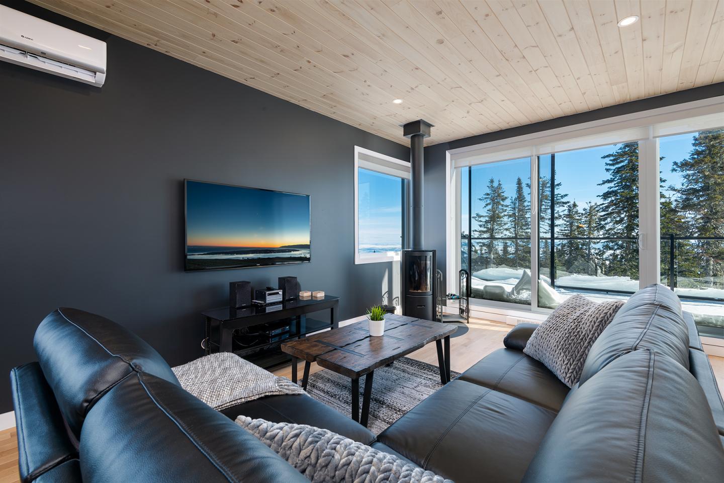 Salon moderne avec canapé en cuir, télévision, vue sur forêt enneigée.