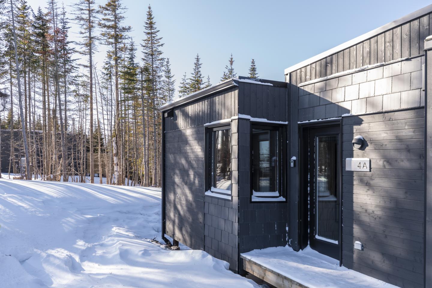 Cabane noire moderne entourée de neige, forêt en arrière-plan.