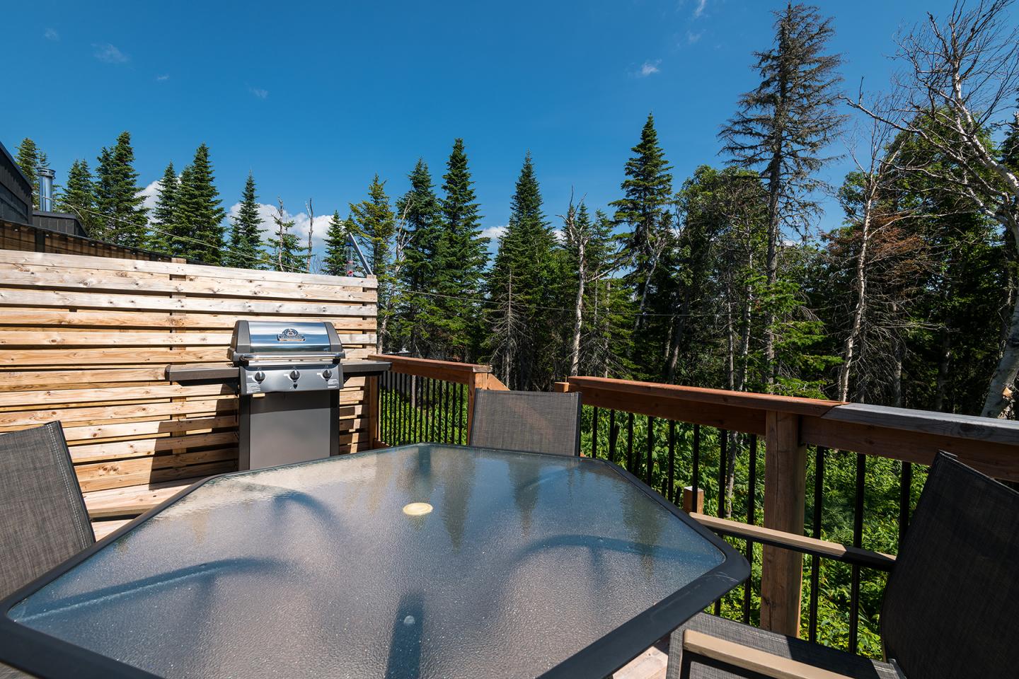 Terrasse avec table en verre et barbecue, entourée d'arbres sous un ciel bleu.