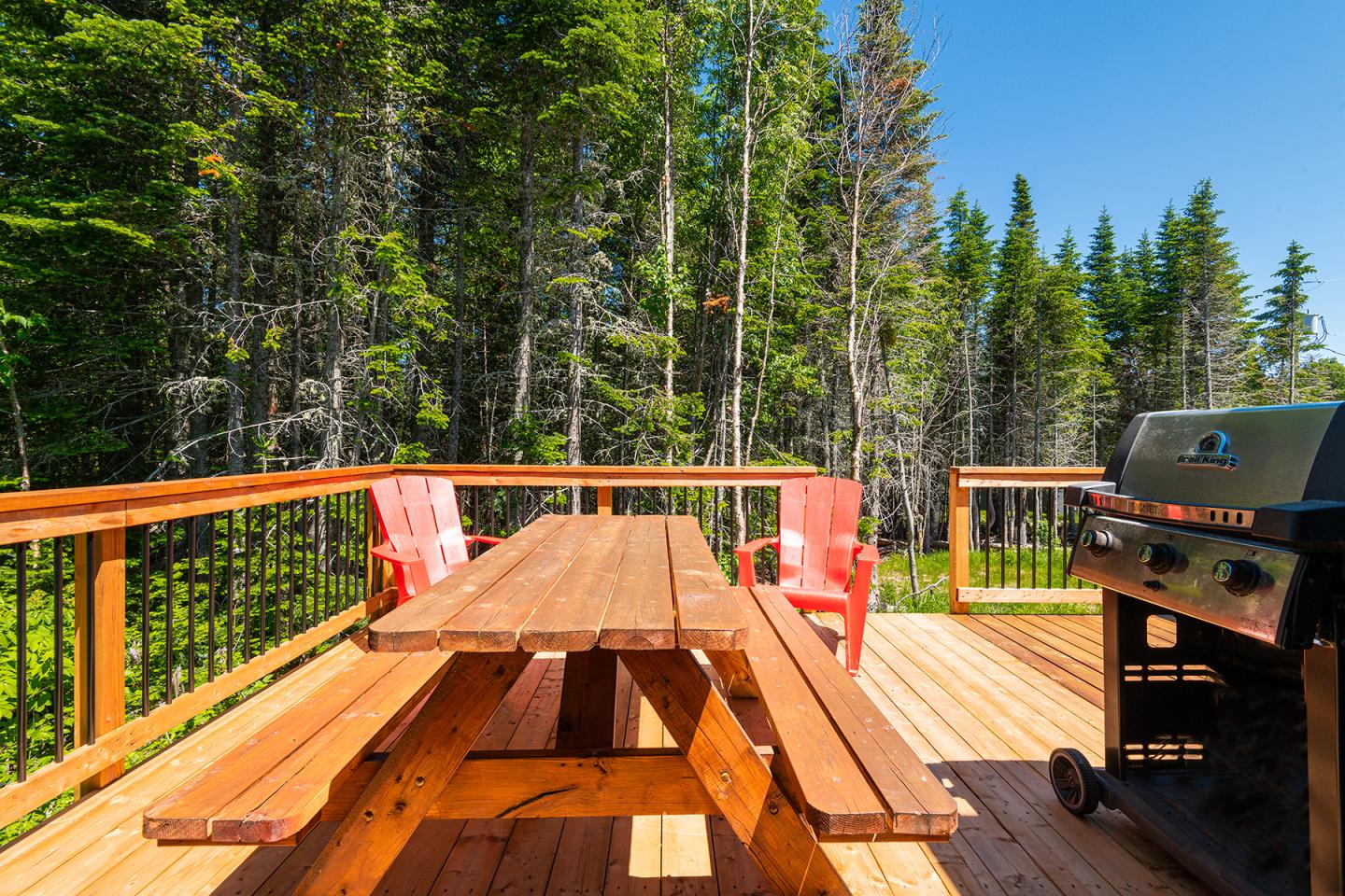 Terrasse en bois avec table, chaises rouges et barbecue, forêt en arrière-plan.