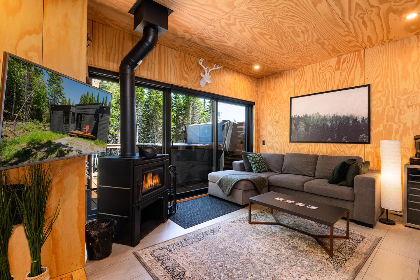 Salon confortable avec poêle à bois, canapé gris et grande fenêtre donnant sur la forêt.