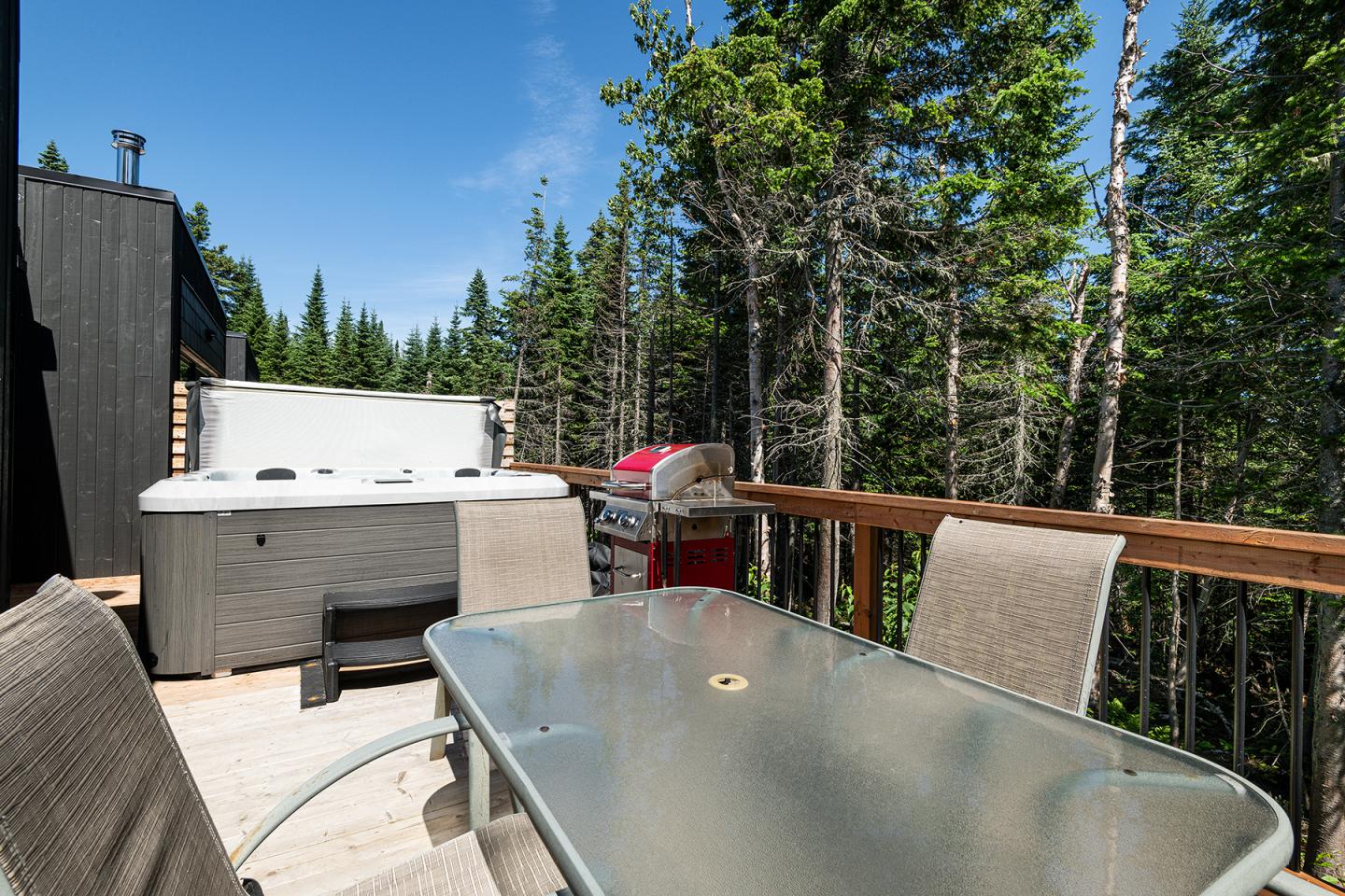 Terrasse en bois avec table, chaises, spa et barbecue, entourée de sapins.