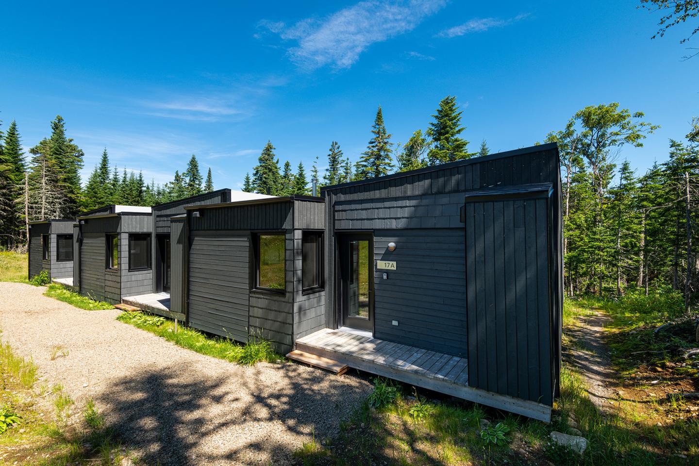 Maisons modernes noires entourées de pins sous un ciel bleu.