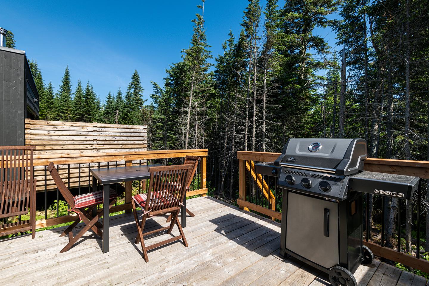 Terrasse en bois avec barbecue, table et chaises, entourée de pins sous ciel bleu.