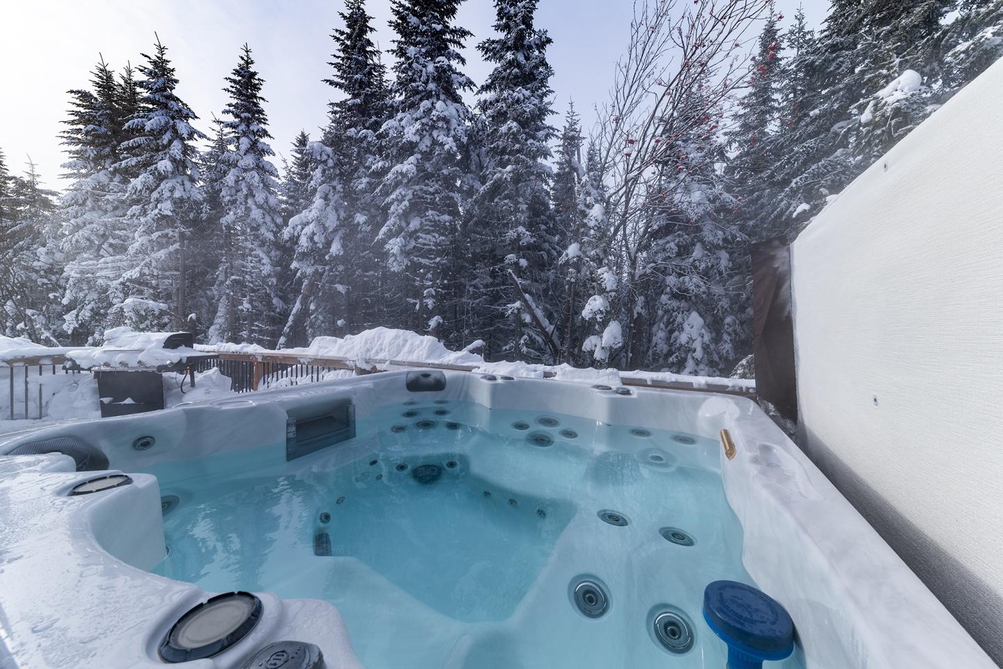 Jacuzzi extérieur enneigé entouré d'arbres en hiver.