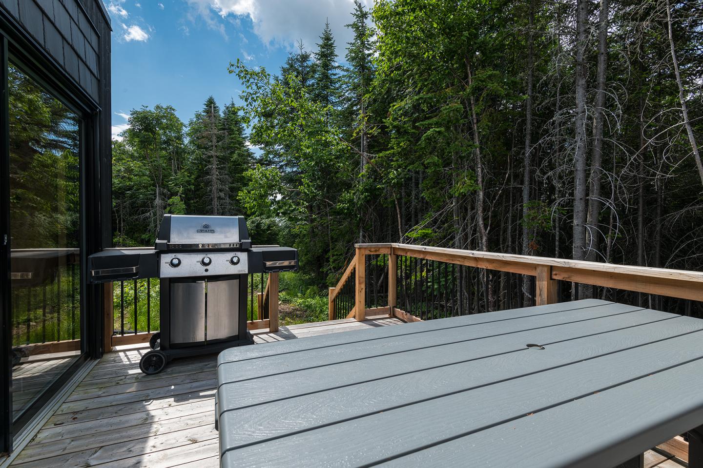 Terrasse en bois avec barbecue, entourée d'arbres verts.