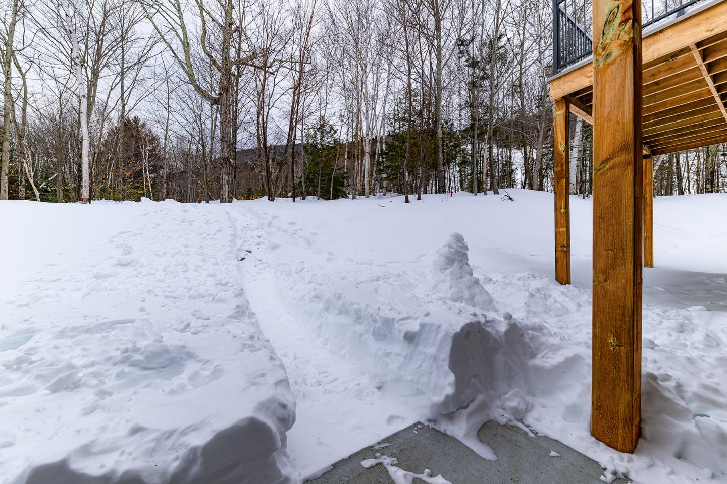 Jardin enneigé avec une terrasse en bois et des arbres dénudés.