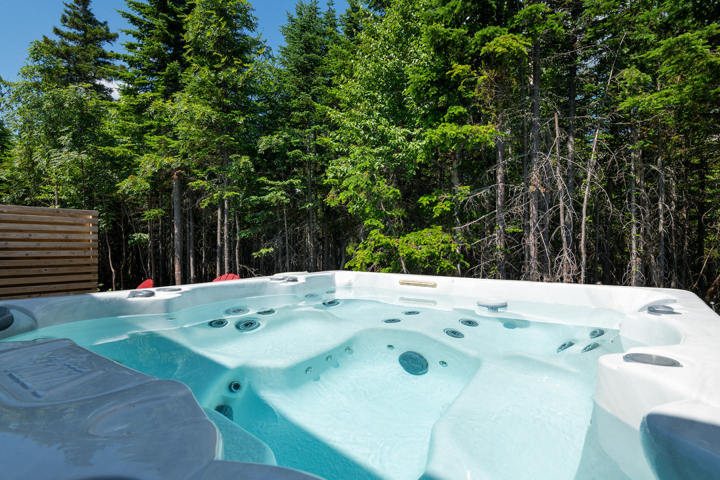 Jacuzzi vide entouré d'arbres verts sous un ciel bleu.