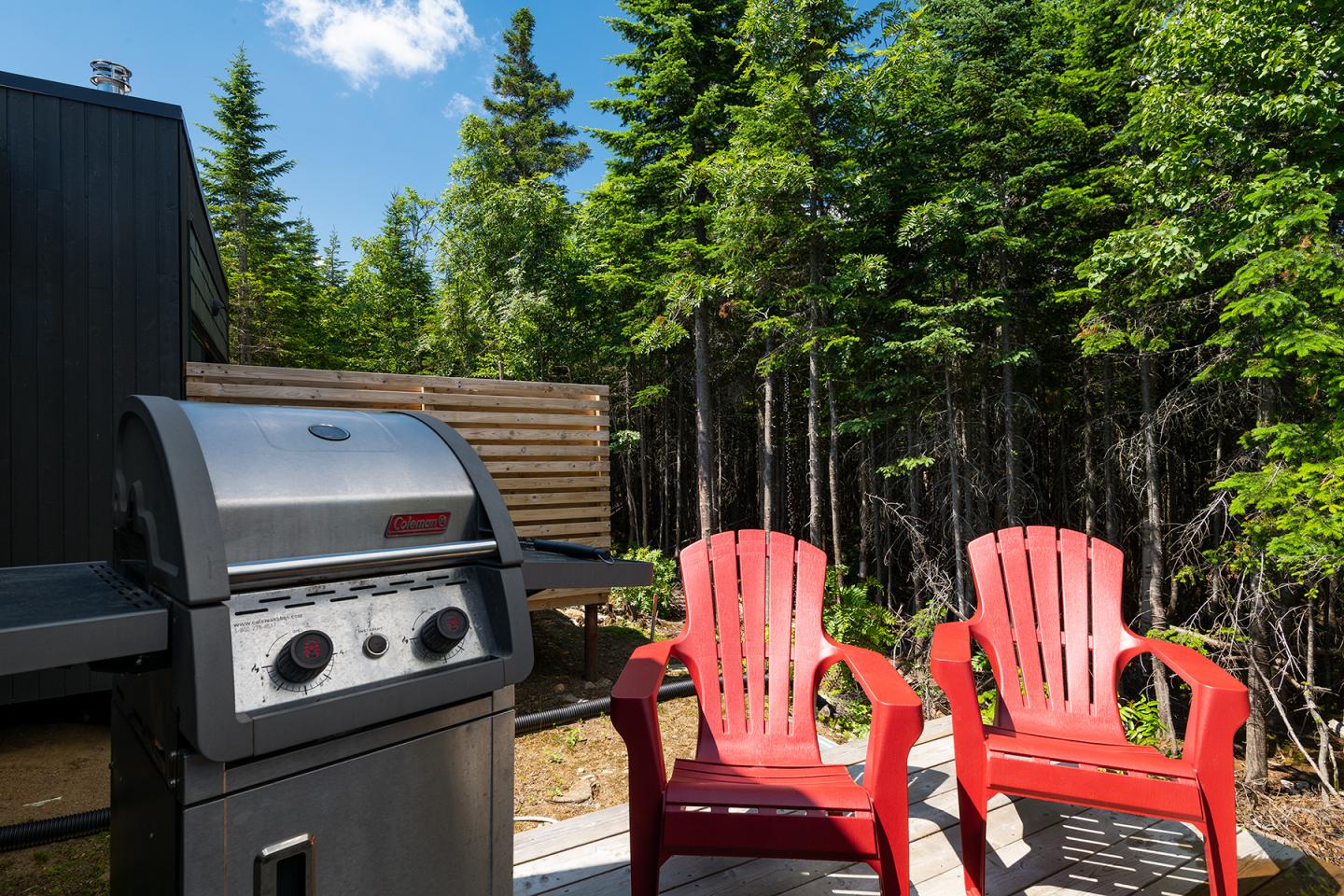 Barbecue et deux chaises rouges sur une terrasse, entourés de forêt.
