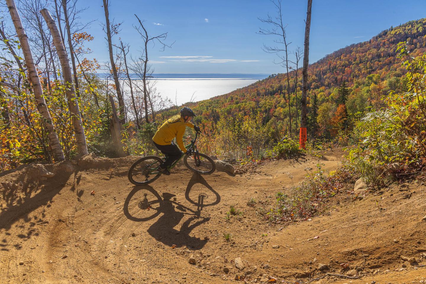 Cycliste en VTT sur un sentier forestier automnal, sous un ciel bleu.