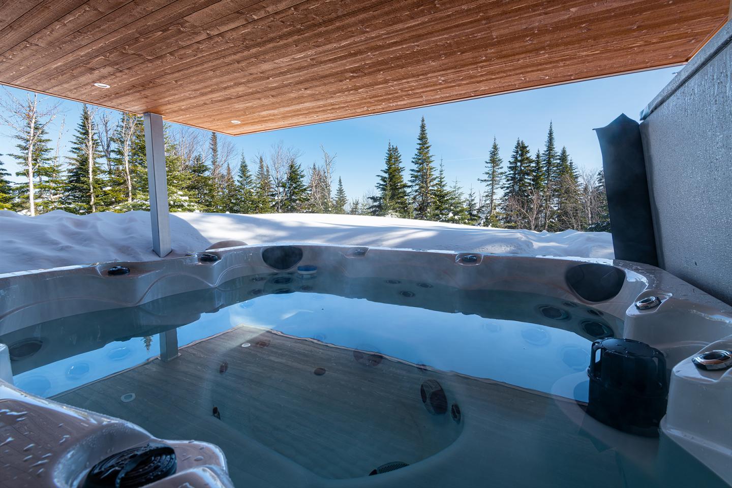 Jacuzzi couvert avec vue sur forêt enneigée et ciel bleu.