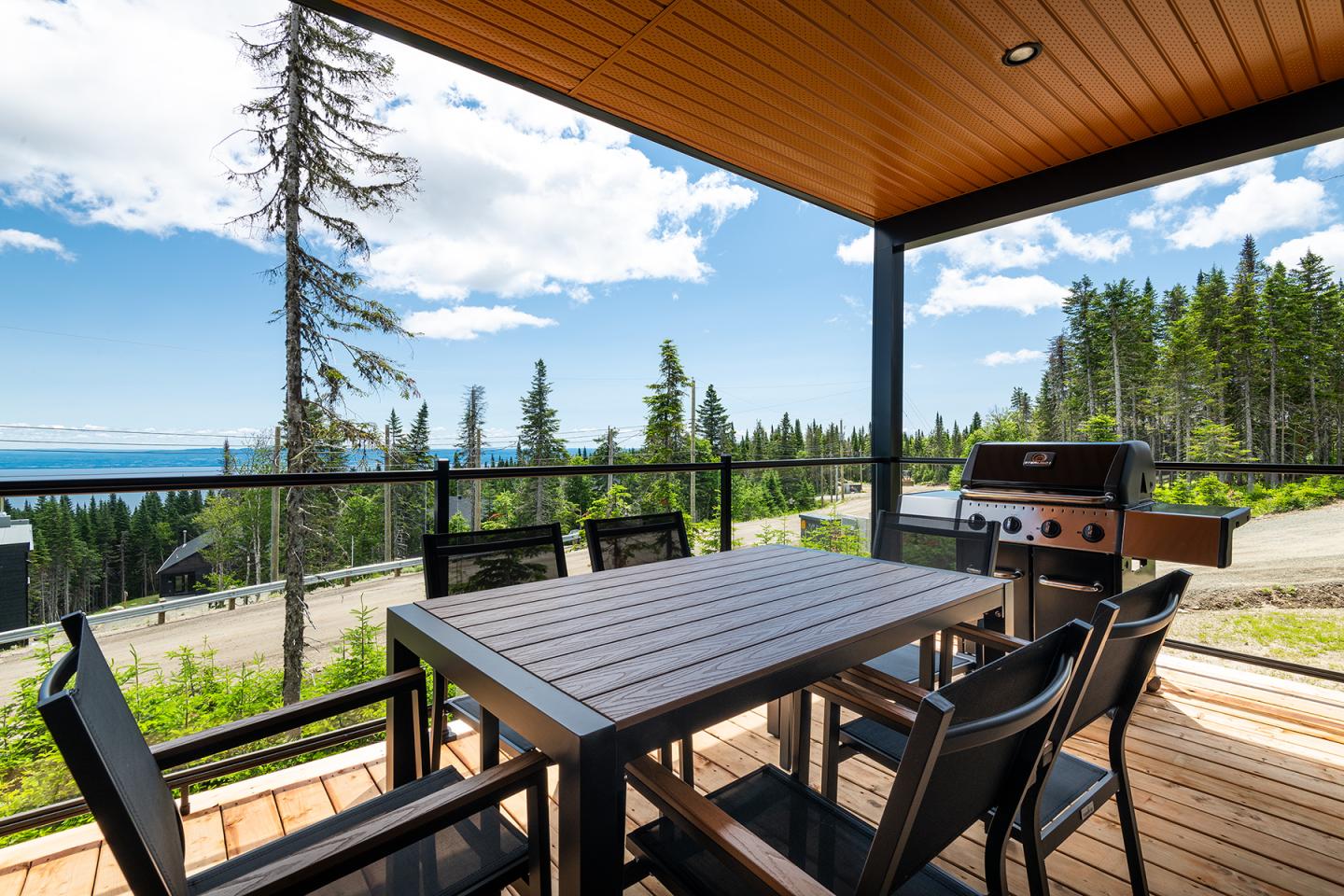 Terrasse avec table, chaises et barbecue, vue sur forêt et ciel bleu.