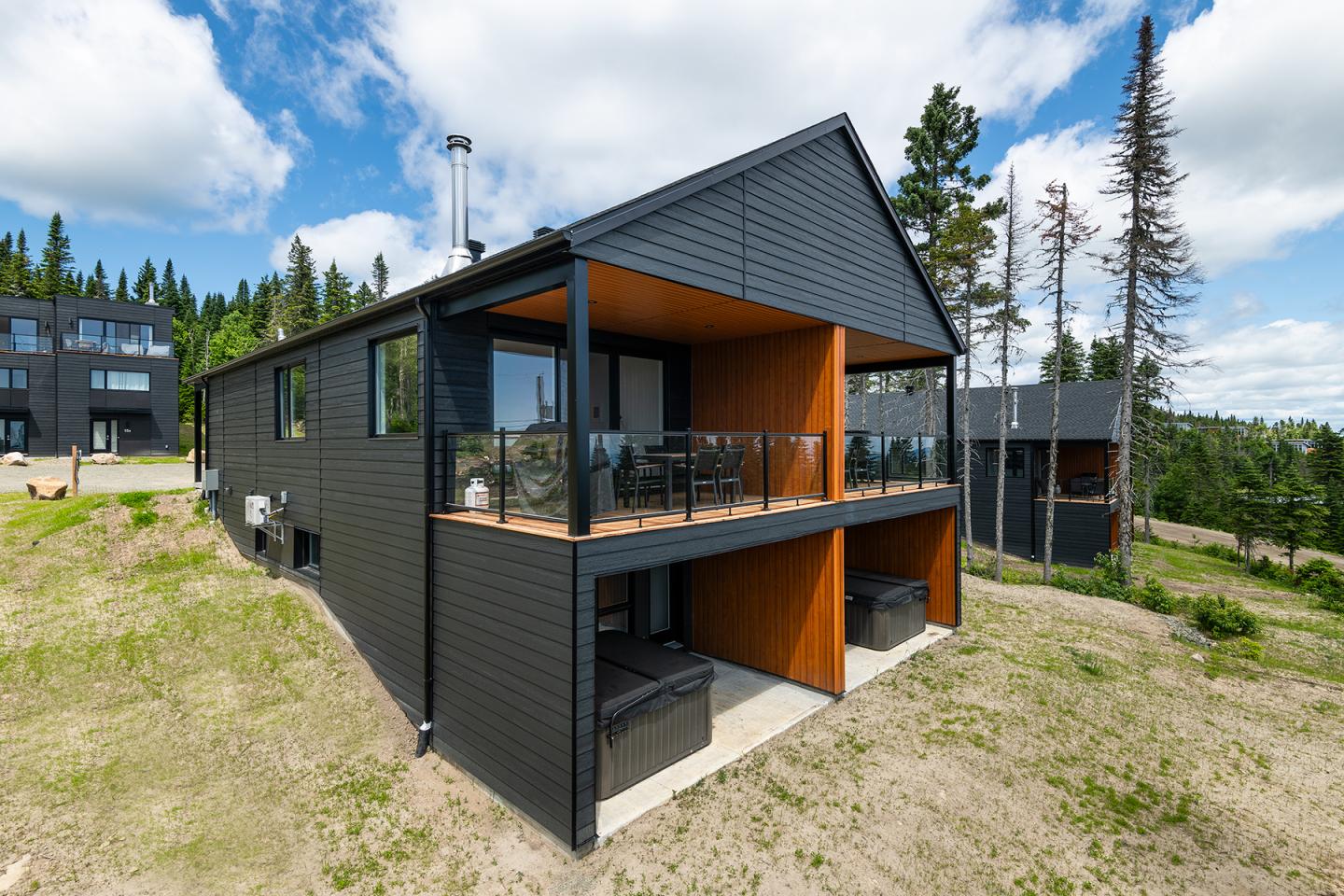 Maison moderne en bois noir, avec terrasse, entourée de nature verdoyante.