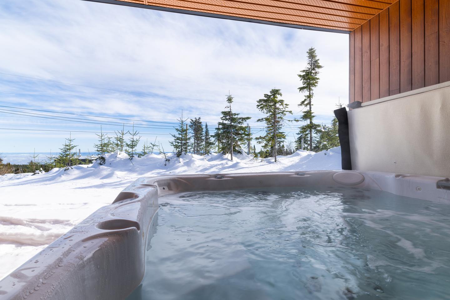 Spa extérieur sous abri, neige et forêt en arrière-plan.